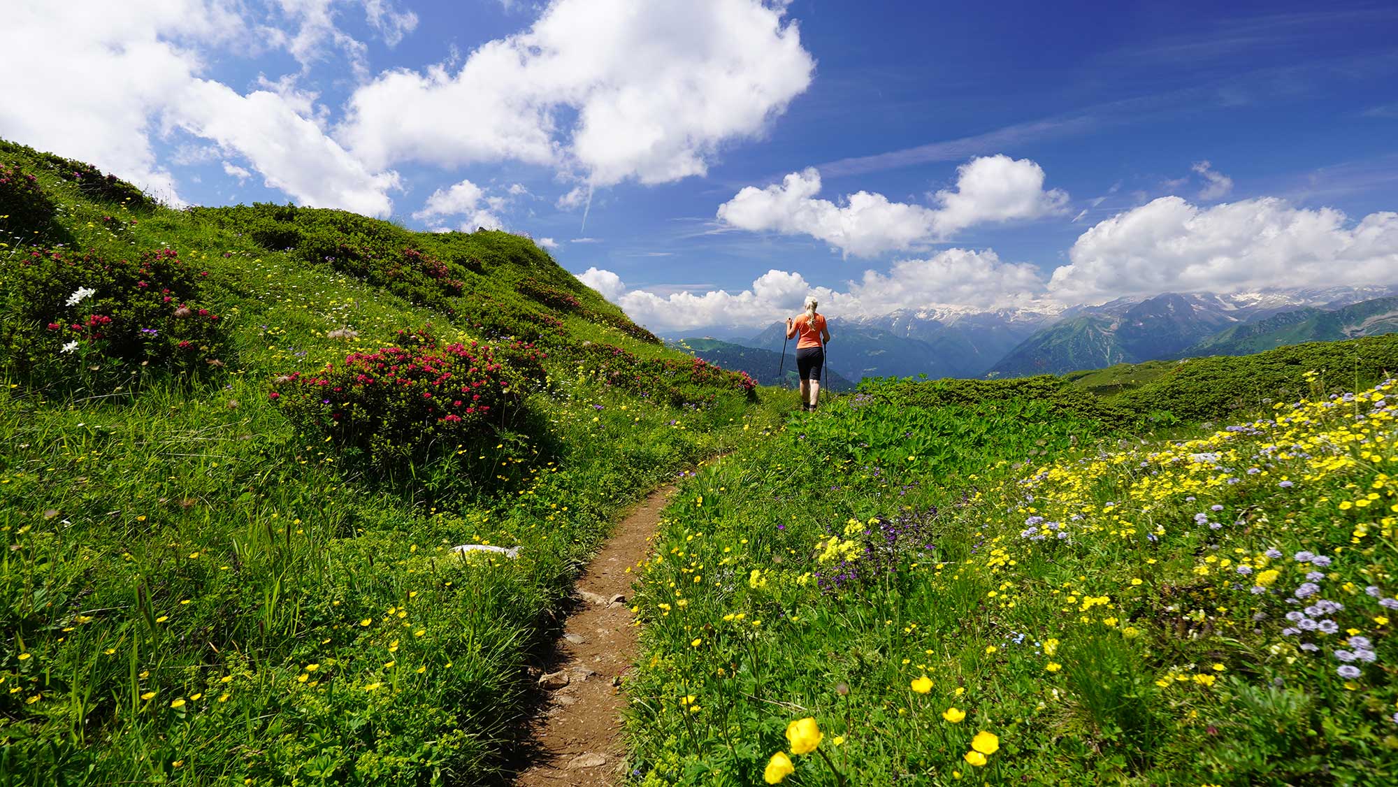 Dolomites (c) Hartmut Wimmer | European Trails