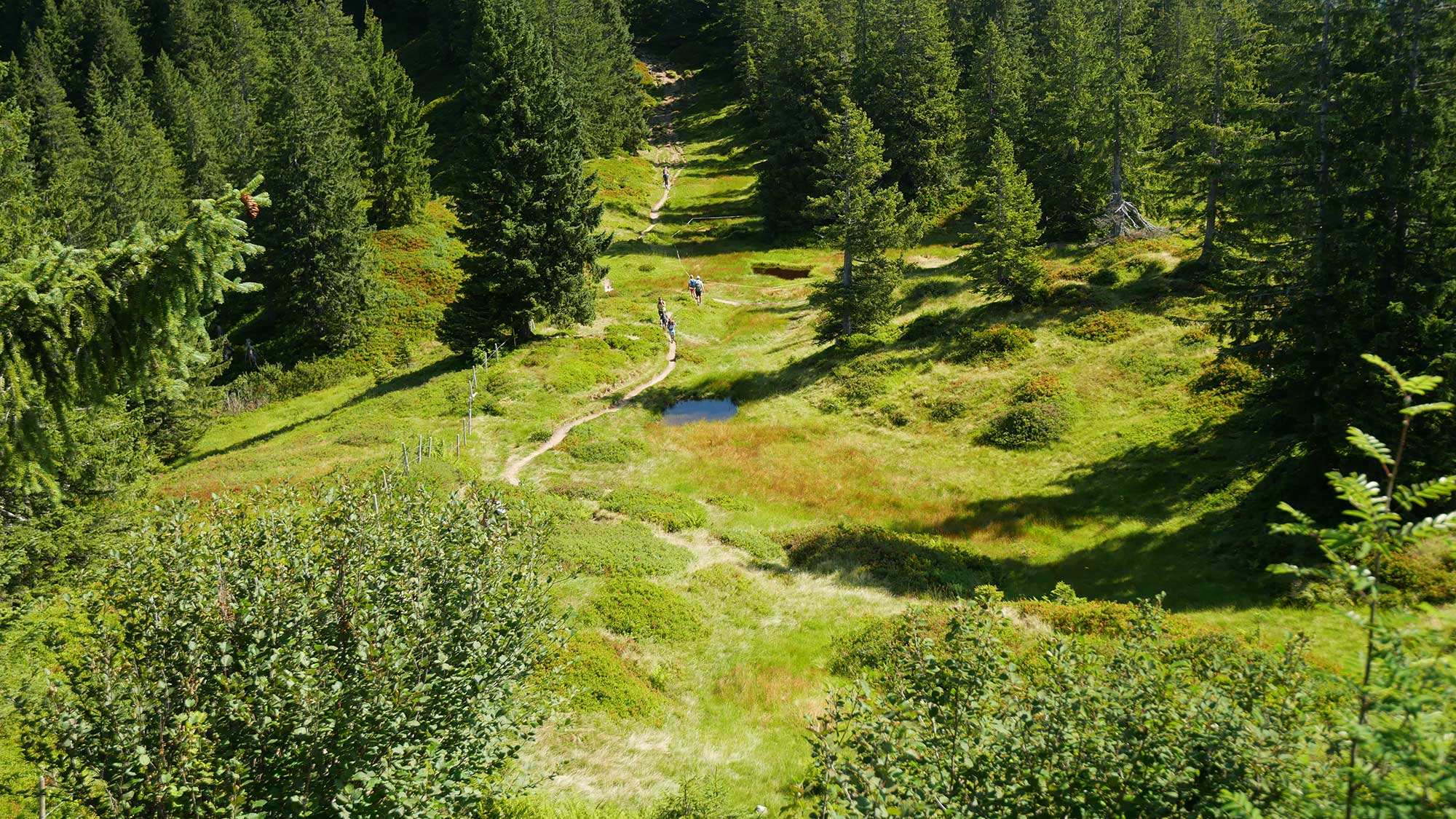 Riedberger Horn (c) Hartmut Wimmer | European Trails